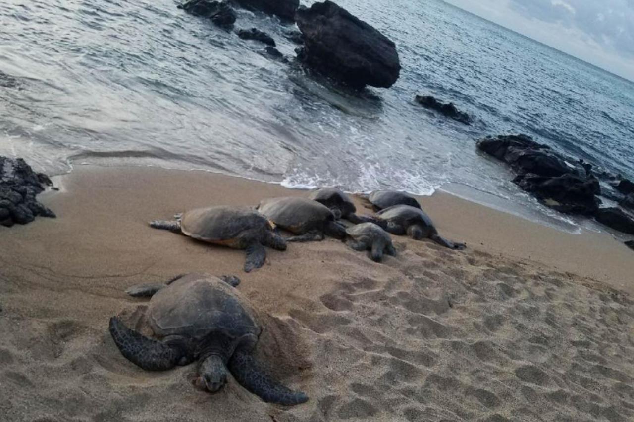 Willa Mahina Surf I Napili-Honokowai Zewnętrze zdjęcie